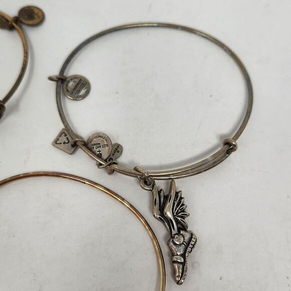 ALEX and ANI Bangle Bracelet Lot #1 Wear Compass, Larkspur, Hockey, Flying Shoe - Picture 3 of 6